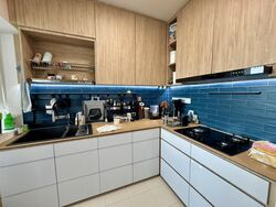 Blk 440A Clementi Cascadia (Clementi), HDB 3 Rooms #564558441